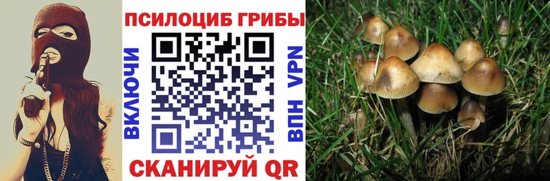 мега рабочий сайт Облучье это состав Псилоцибиновые грибы Magic Shrooms