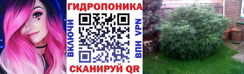 купить  цена  Облучье  МАРИХУАНА семена 
